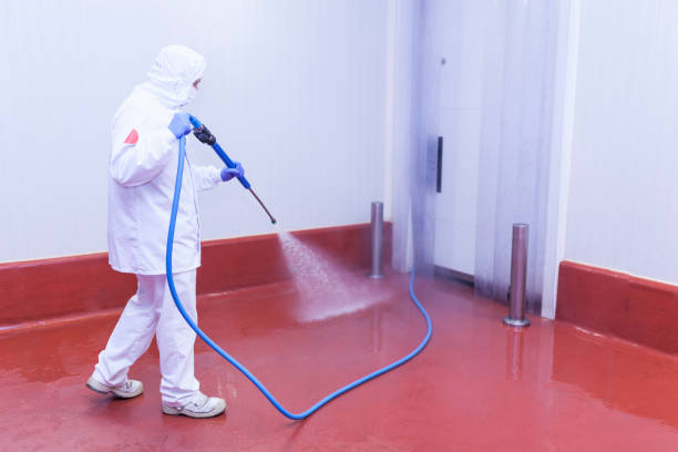  Lewisburg, WV Pressure Washing Pros