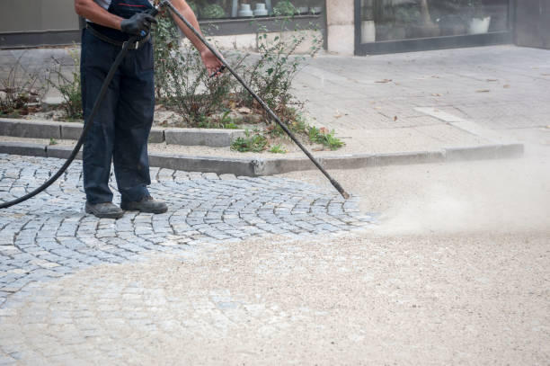 Best Patio and Deck Pressure Washing  in Lewisburg, WV