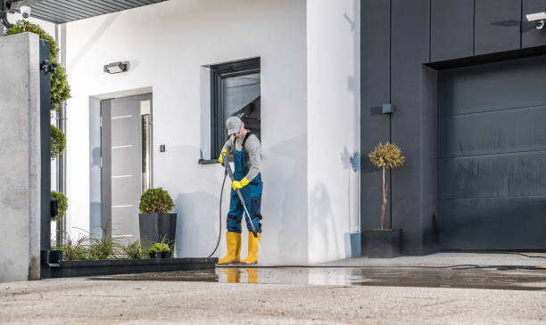 Best Sidewalk and Walkway Cleaning  in Lewisburg, WV